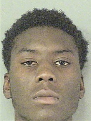 Tarique Brydson, - Palm Beach County, FL 